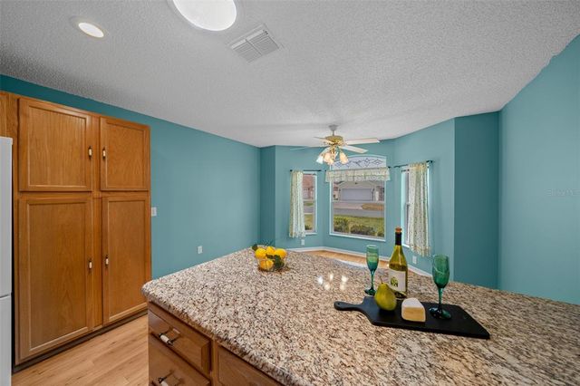 710 ANTONIA LANE, The Villages, FL 32159