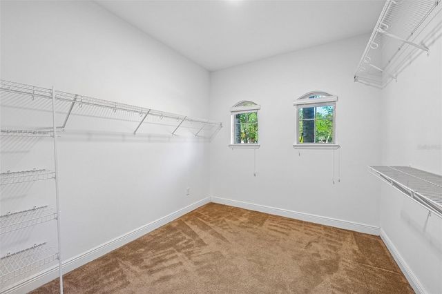 19711 WELLINGTON MANOR BOULEVARD, Lutz, FL 33549