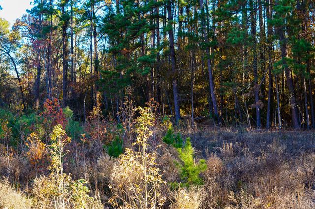 112 Highland Drive, Huntsville, TX 77320