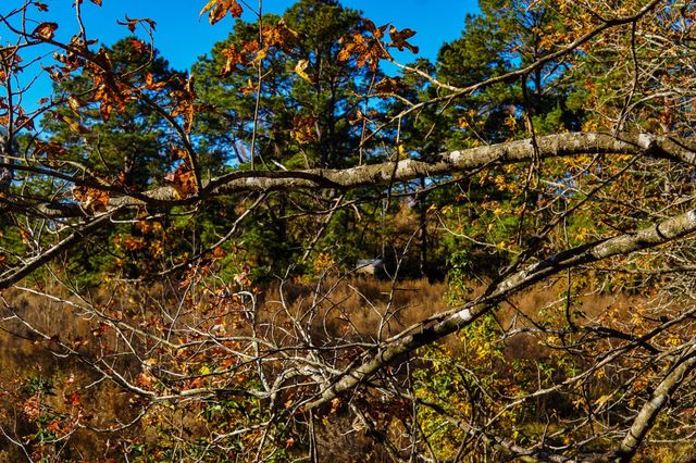 112 Highland Drive, Huntsville, TX 77320