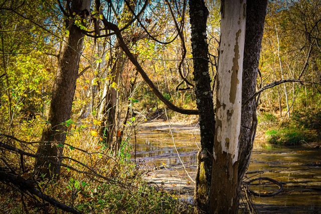 112 Highland Drive, Huntsville, TX 77320