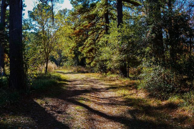 112 Highland Drive, Huntsville, TX 77320