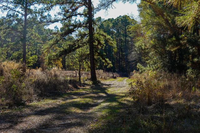 112 Highland Drive, Huntsville, TX 77320