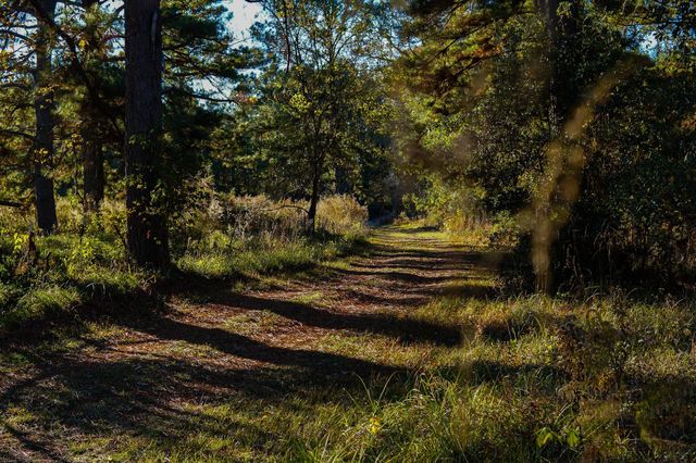 112 Highland Drive, Huntsville, TX 77320