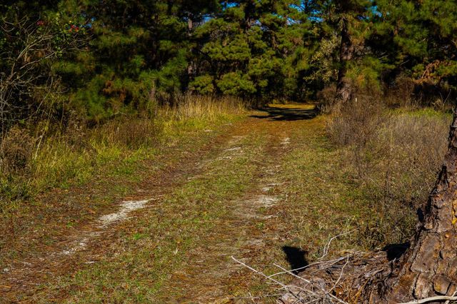 112 Highland Drive, Huntsville, TX 77320