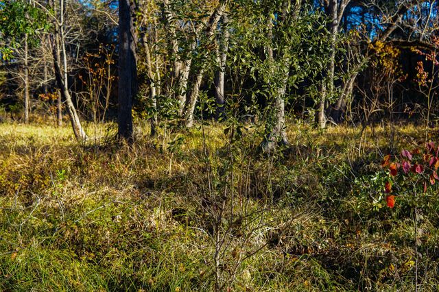 112 Highland Drive, Huntsville, TX 77320