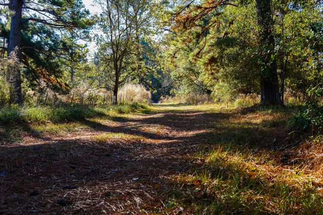 112 Highland Drive, Huntsville, TX 77320