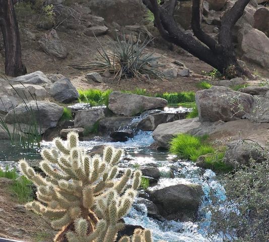 48485 Old Stone Trail, Palm Desert, CA 92260