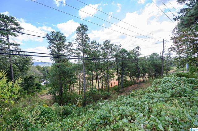 3100 SUNRISE LANE, Birmingham, AL 35242