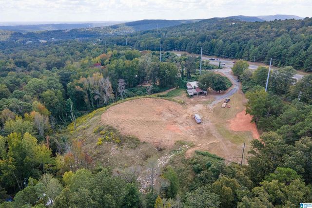 3100 SUNRISE LANE, Birmingham, AL 35242