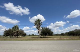 25114 Del Monte, Monte Alto, TX 78538