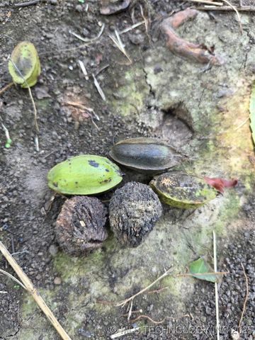 580 Road, Inola, OK 74036