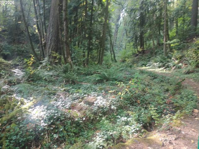 Nw MACKAY Ave, Portland, OR 97231