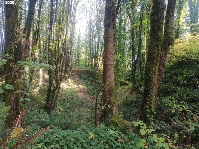 Nw MACKAY Ave, Portland, OR 97231