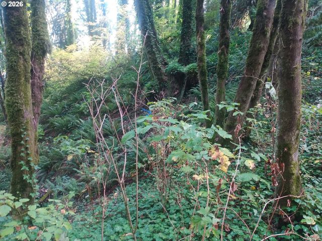 Nw MACKAY Ave, Portland, OR 97231