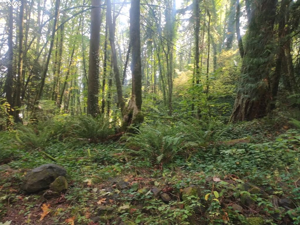 Nw MACKAY Ave, Portland, OR 97231