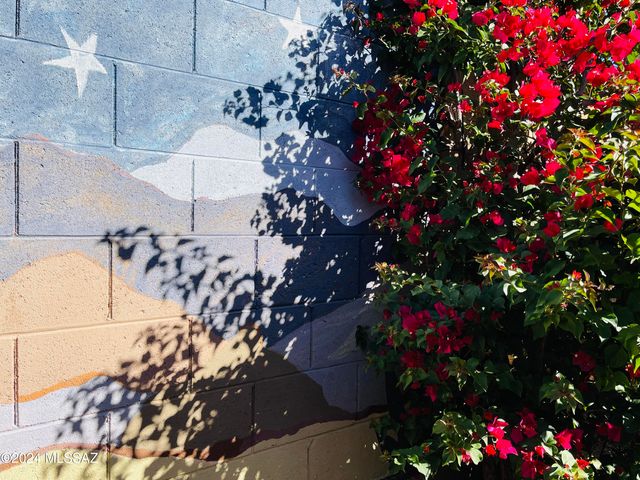1134 W Vinovo Pass, Oro Valley, AZ 85755