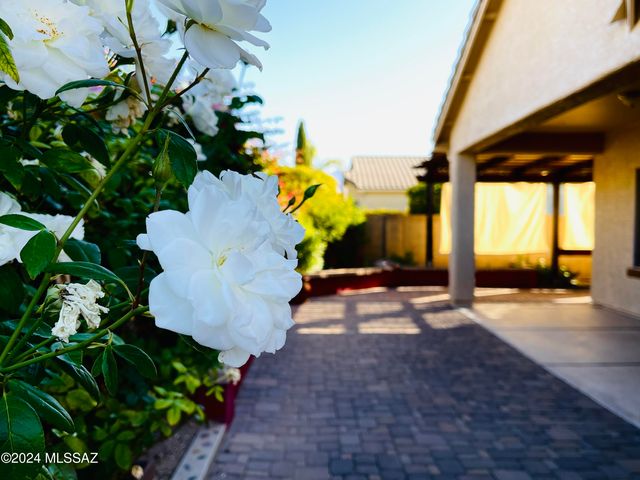 1134 W Vinovo Pass, Oro Valley, AZ 85755
