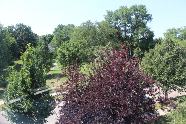 3712 Wooddale Avenue S 10, Saint Louis Park, MN 55416