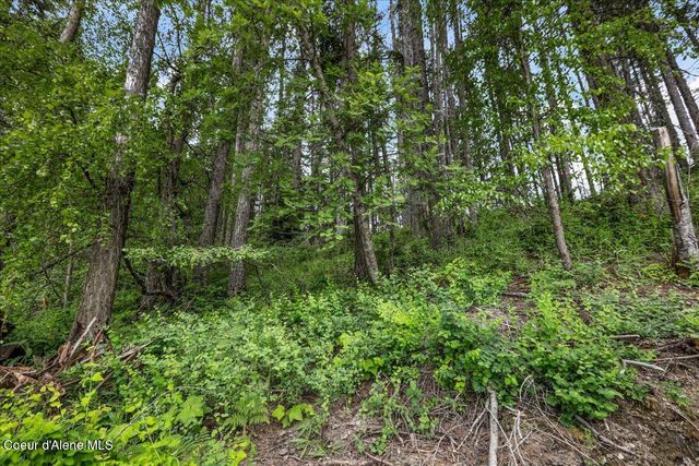 NKA Baja Lot 3 Ln, Oldtown, ID 83822