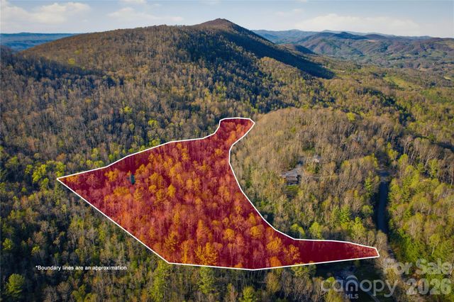 163 Bear Track Lane, Vilas, NC 28692