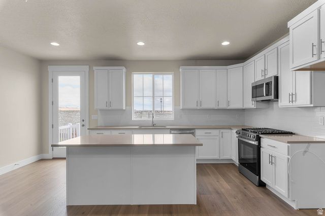 6738 W BROAD STEM WAY, Herriman, UT 84096