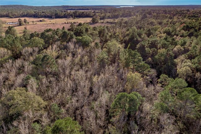 438 Cody, Groveton, TX 75845