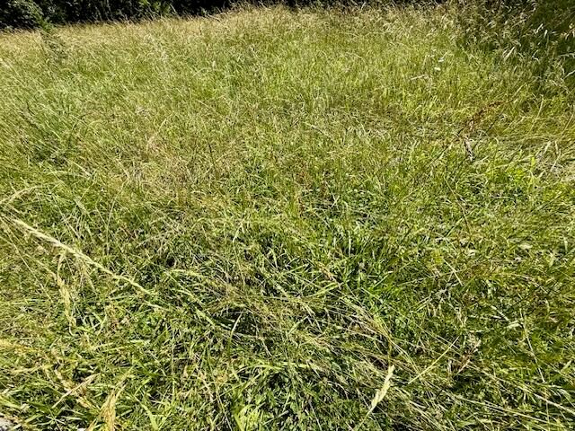 15620 County Road Ww-A, Summersville, MO 65571