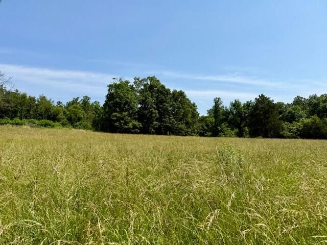 15620 County Road Ww-A, Summersville, MO 65571