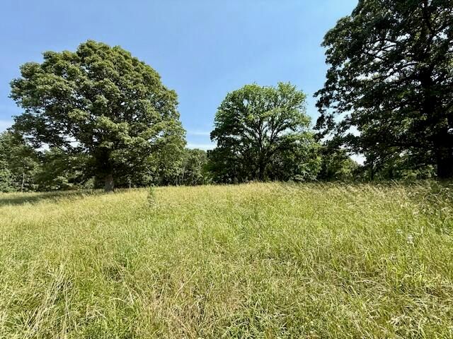 15620 County Road Ww-A, Summersville, MO 65571