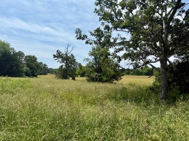 15620 County Road Ww-A, Summersville, MO 65571