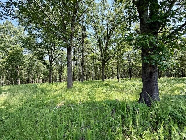 15620 County Road Ww-A, Summersville, MO 65571