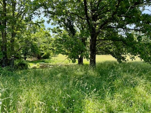 15620 County Road Ww-A, Summersville, MO 65571