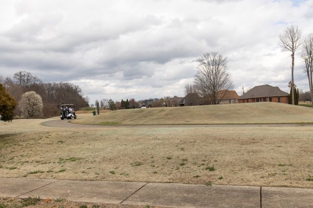 317 Brandywine Ln, Springfield, TN 37172
