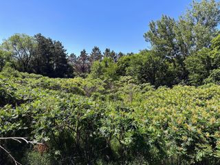 3xxxx Smokey Lane, Everts Twp, MN 56515
