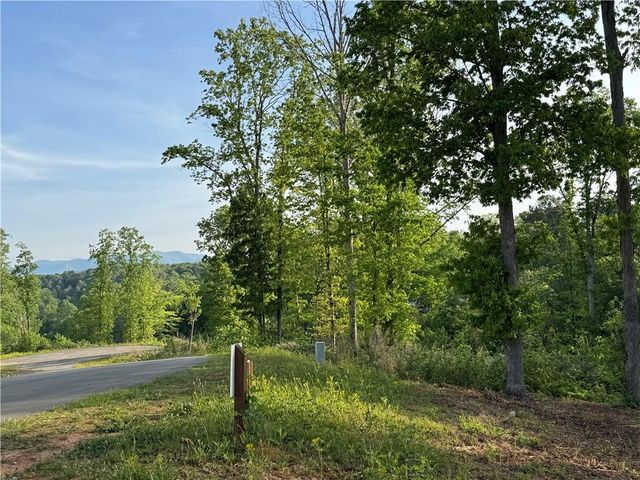 008 Mystic Drive, Ellijay, GA 30540