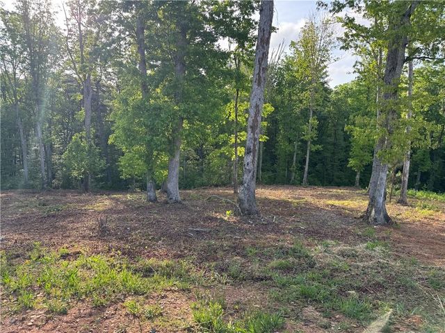 008 Mystic Drive, Ellijay, GA 30540