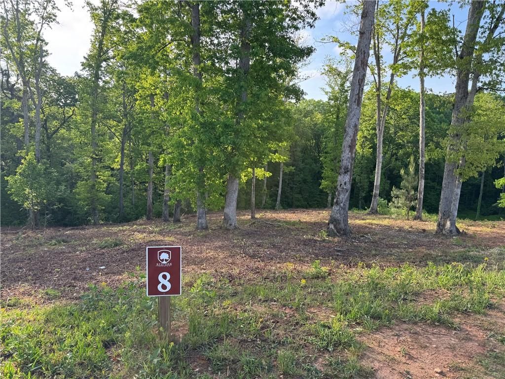 008 Mystic Drive, Ellijay, GA 30540