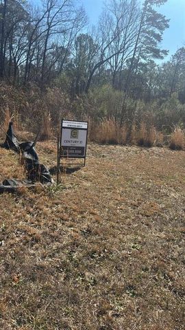 2524 Stream View Drive, Conyers, GA 30013