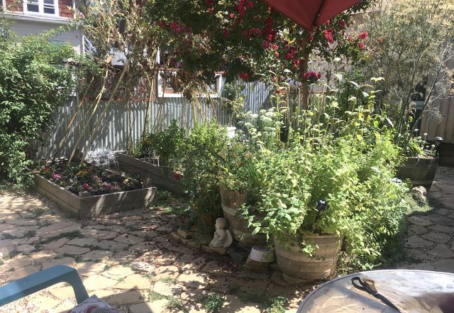 126 Center St, Jackson, CA 95642