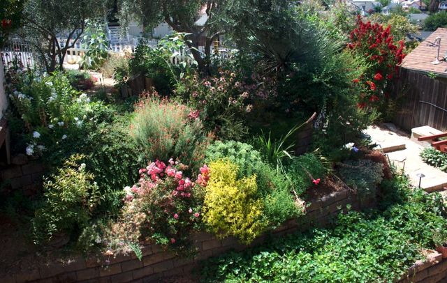 126 Center St, Jackson, CA 95642