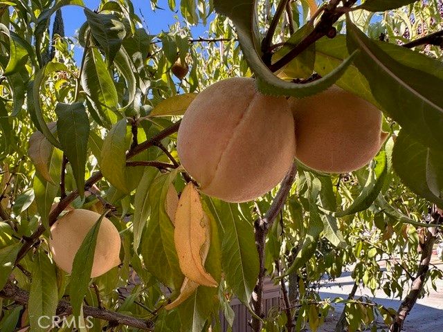 913 S Grand Avenue 172, San Jacinto, CA 92582