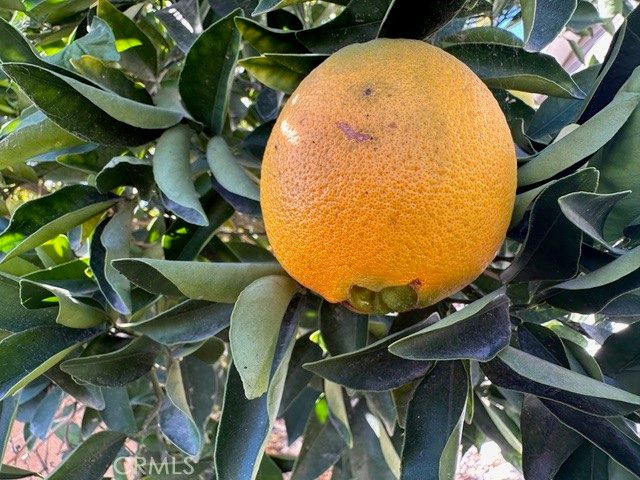 913 S Grand Avenue 172, San Jacinto, CA 92582