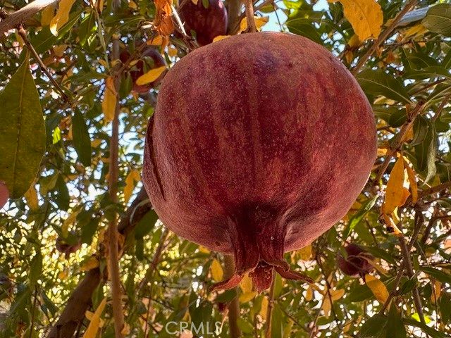 913 S Grand Avenue 172, San Jacinto, CA 92582