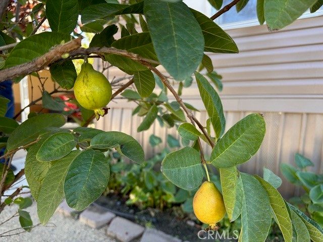 913 S Grand Avenue 172, San Jacinto, CA 92582