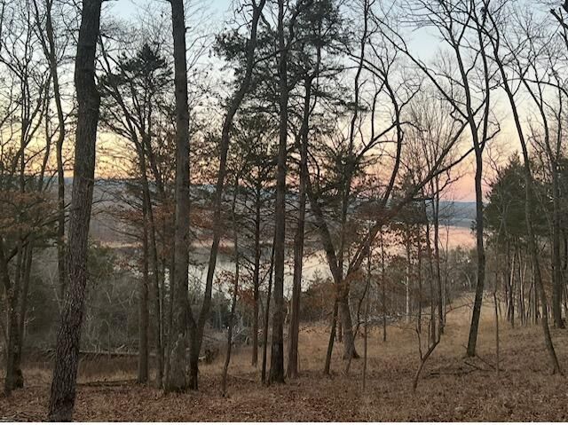 000 Farm Road 2250, Golden, MO 65658