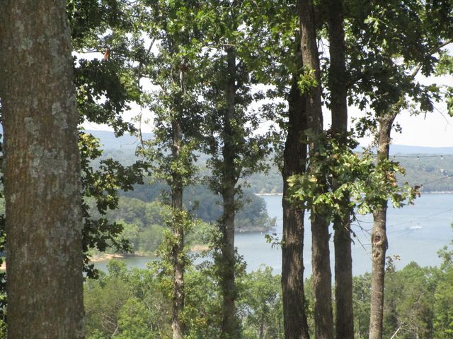 000 Farm Road 2250, Golden, MO 65658