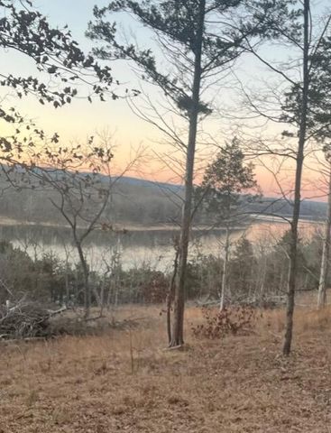 000 Farm Road 2250, Golden, MO 65658