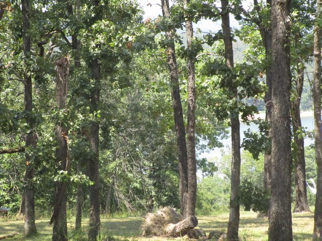 000 Farm Road 2250, Golden, MO 65658