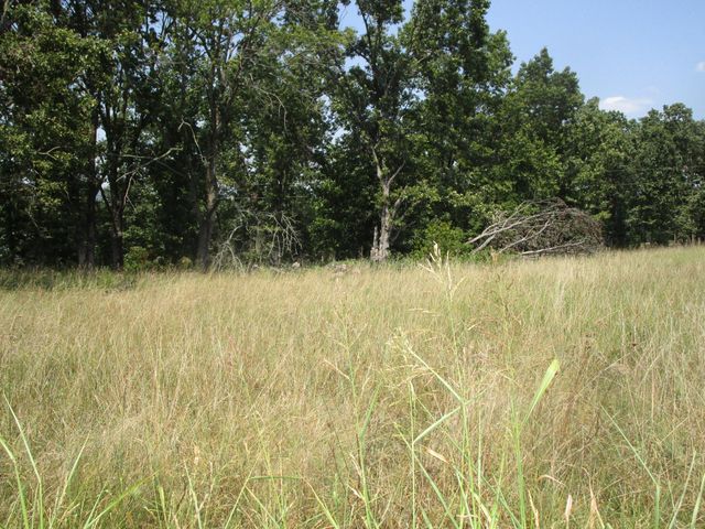 000 Farm Road 2250, Golden, MO 65658